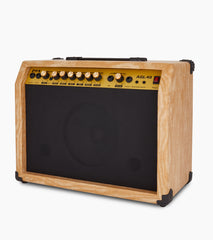 natural 40-watt mini guitar amplifier controls