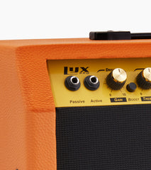 close-up of mahogany 60-watt beginner guitar amp controls