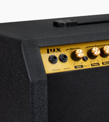close-up of black 60-watt beginner guitar amp controls