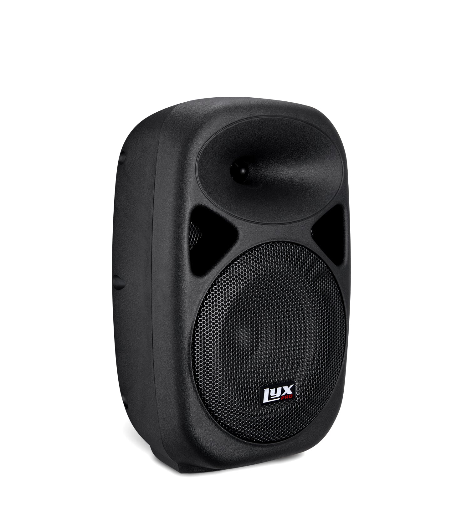8” portable PA speaker