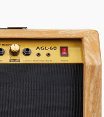 close-up of natural 60-watt beginner guitar amp controls