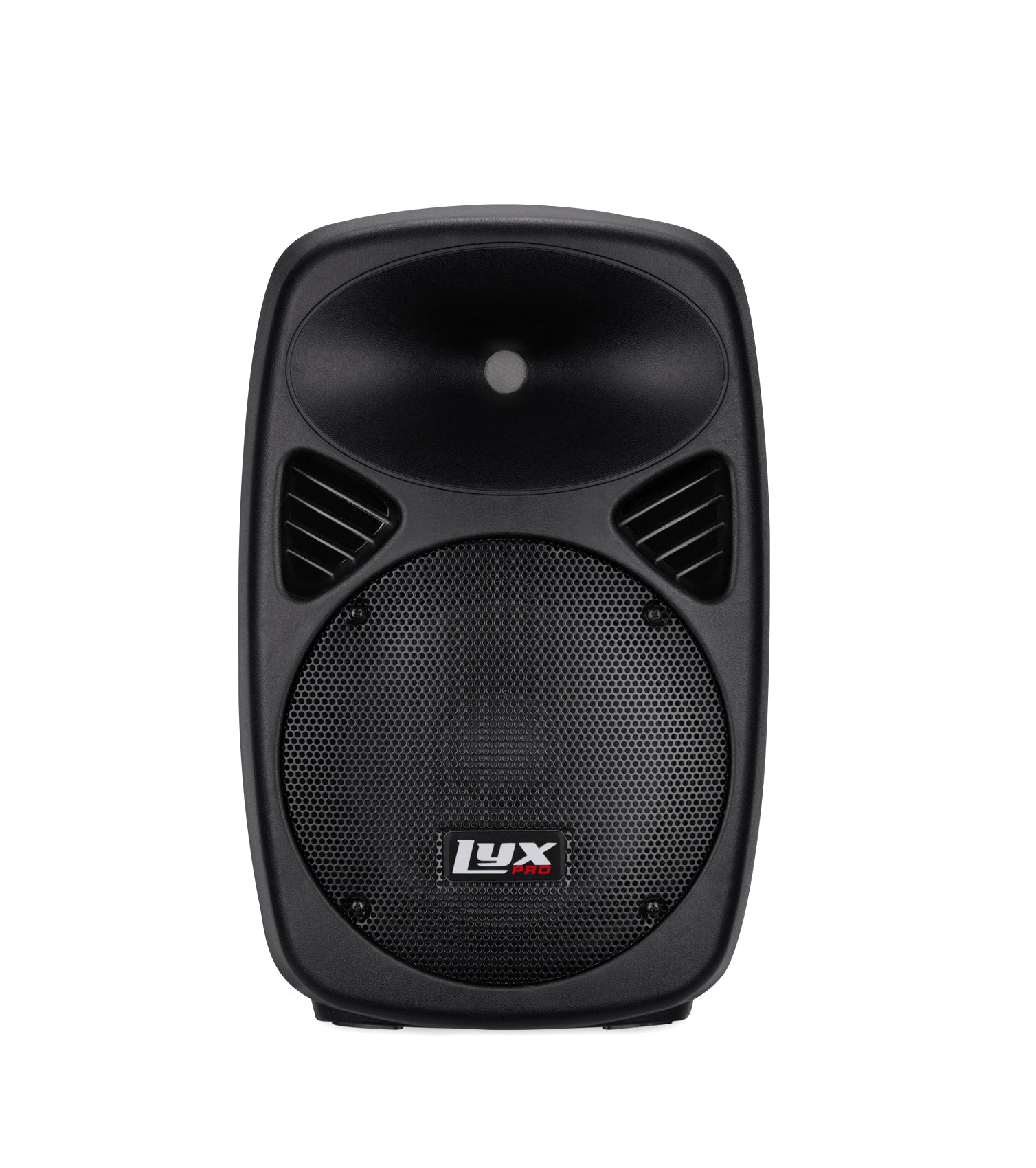 10” portable PA speaker  